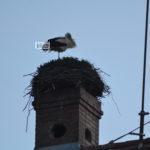 Ismét gólya fészkel a Gólyás ház tetején